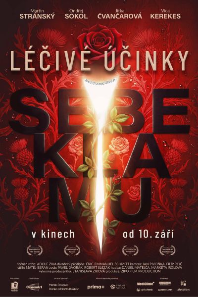 Kopie: Léčivé účinky sebeklamu