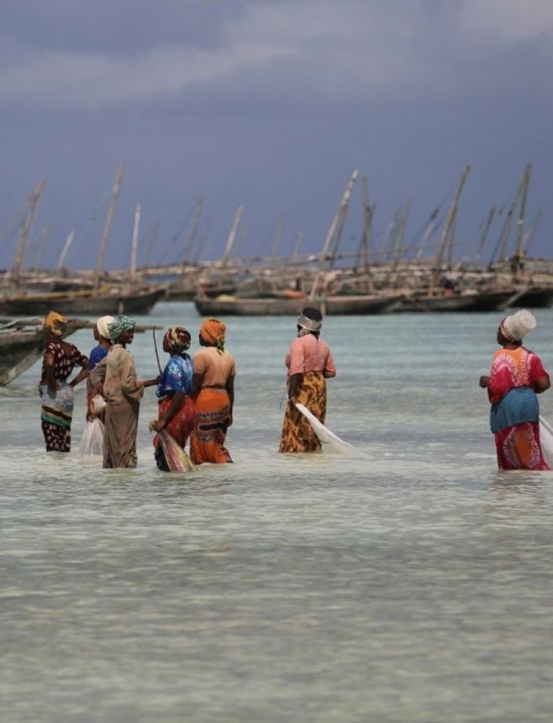 Jarda Bouzek: Zanzibar a Seychely